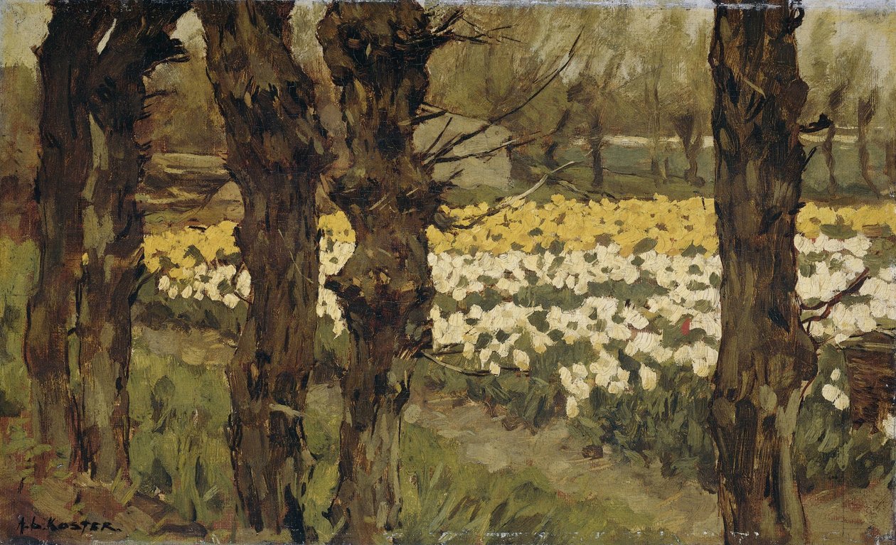 Campi di tulipani da Anton L. Koster