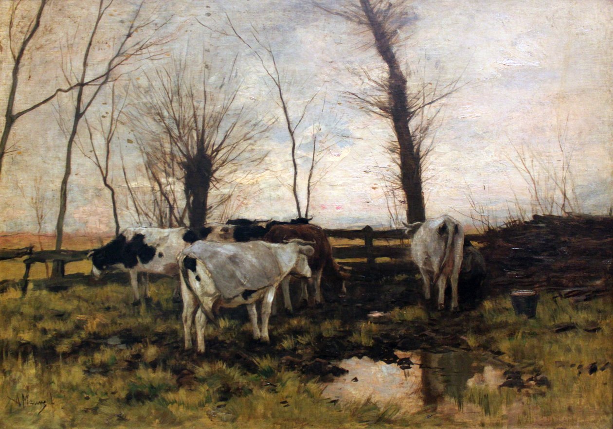 Vacche al pascolo da Anton Mauve