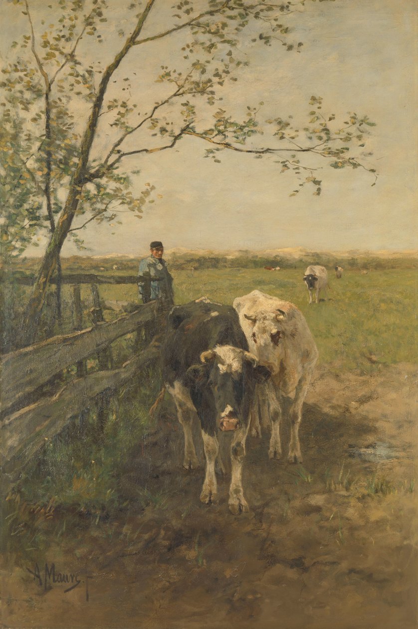 La curva del latte da Anton Mauve