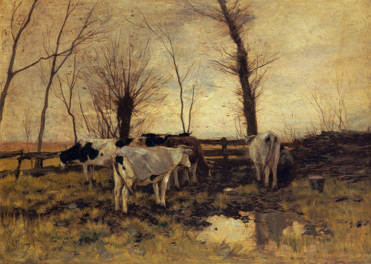 Mucche al pascolo da Anton Mauve