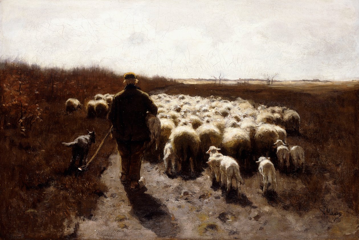 Il ritorno del gregge da Anton Mauve