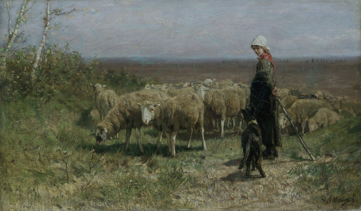 Pastorella da Anton Mauve
