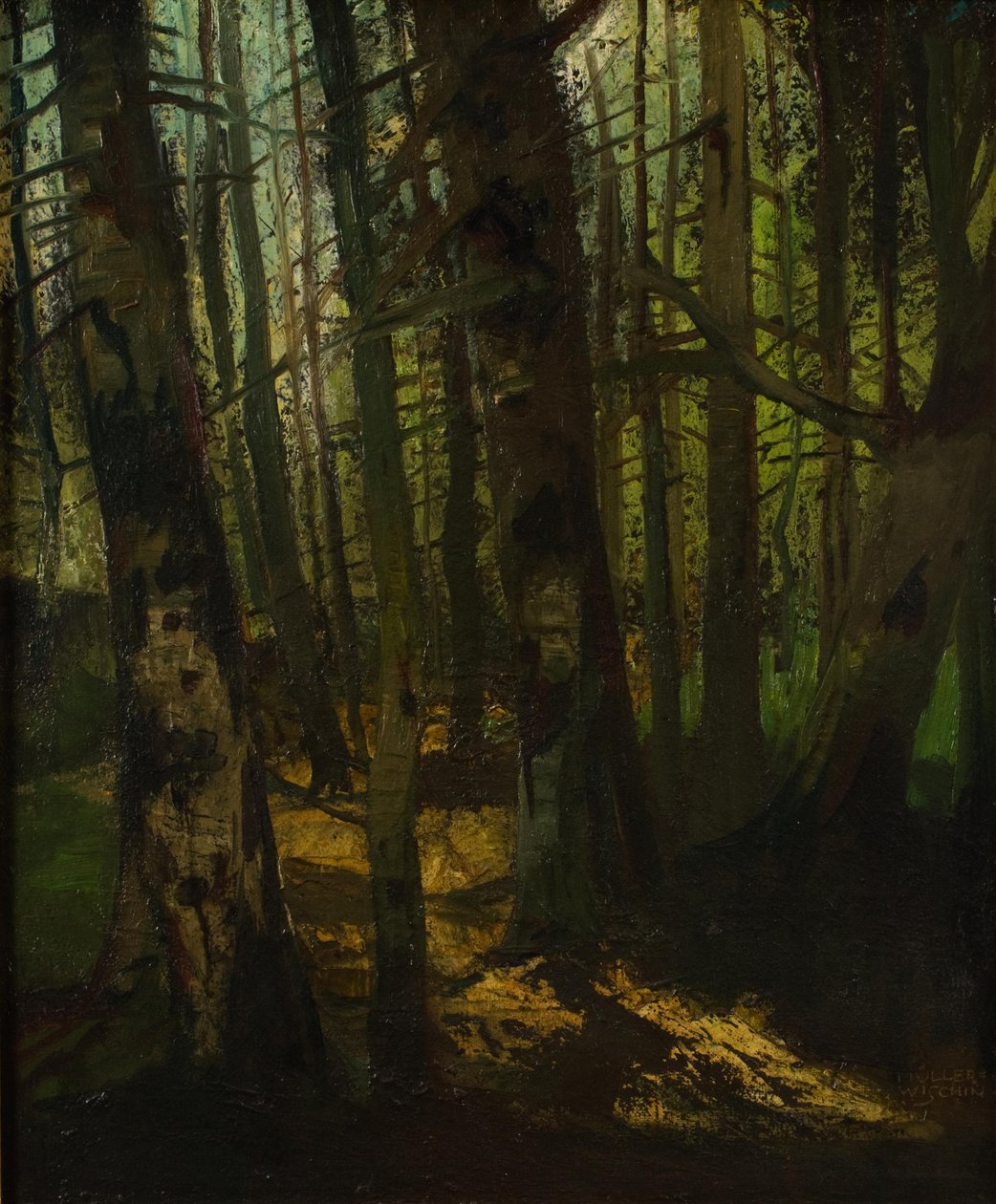 Disboscamento da Anton Müller Wischin