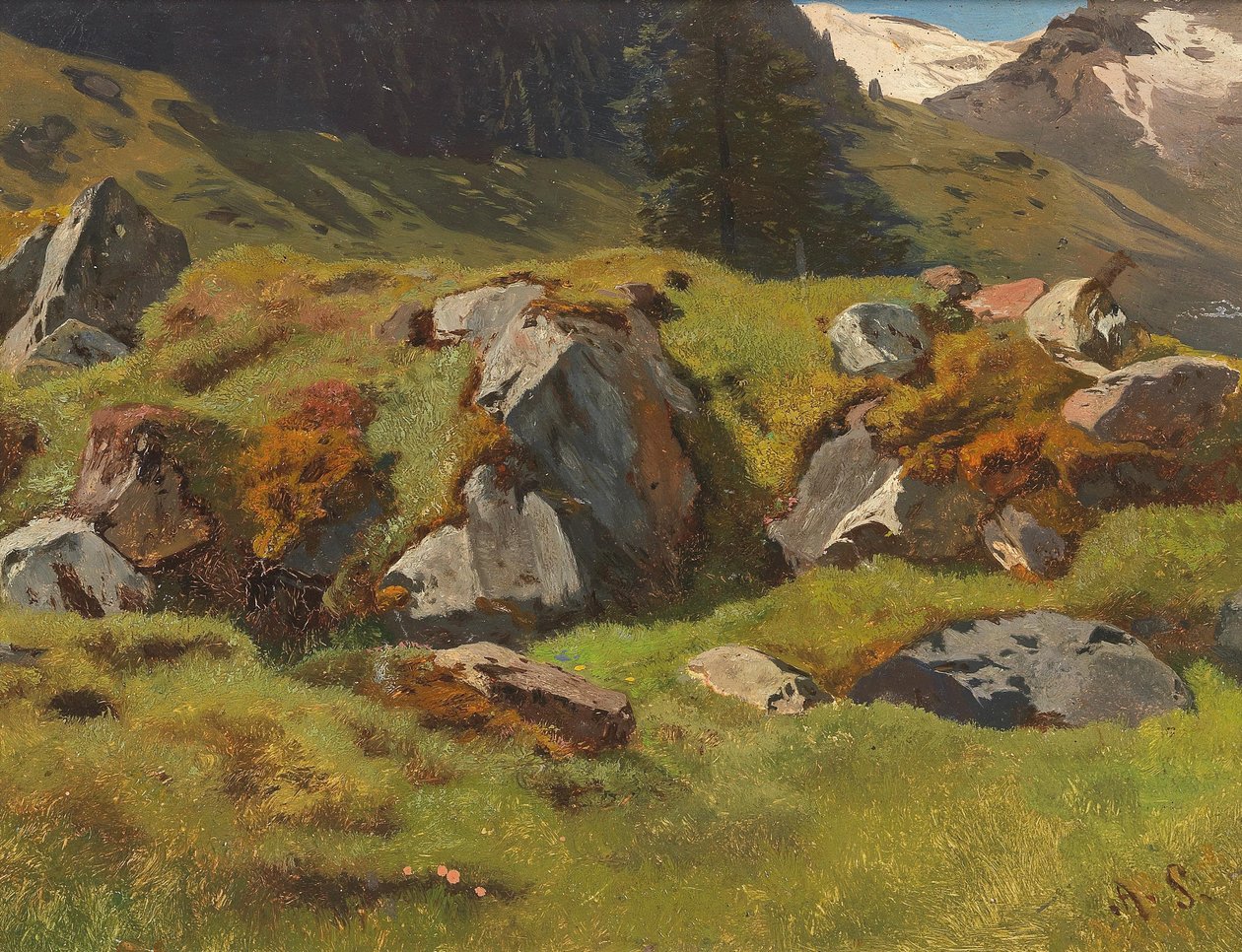 Studio delle rocce a Ferleiten da Anton Schrodl