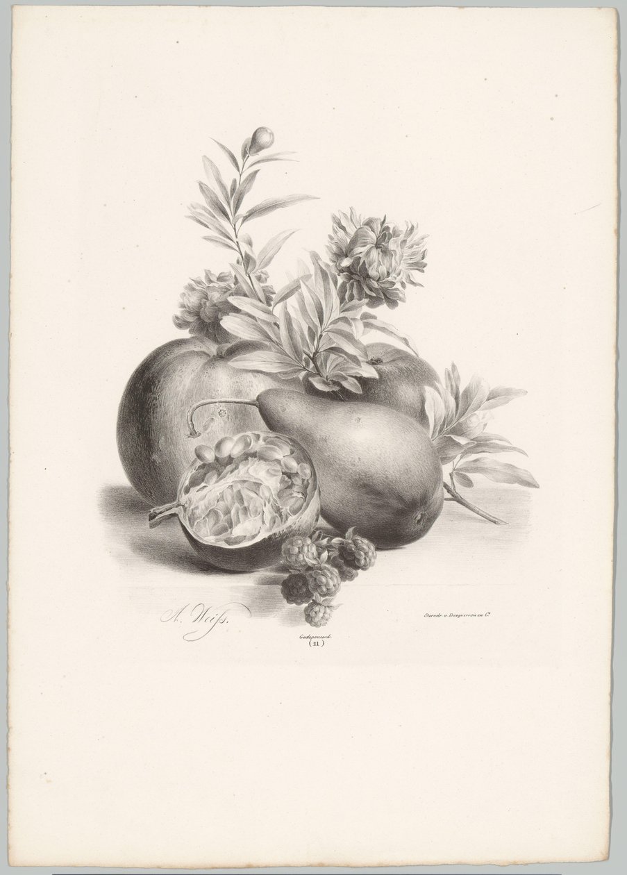 Fiori, mele, pera, melograno e more da Anton Weiss