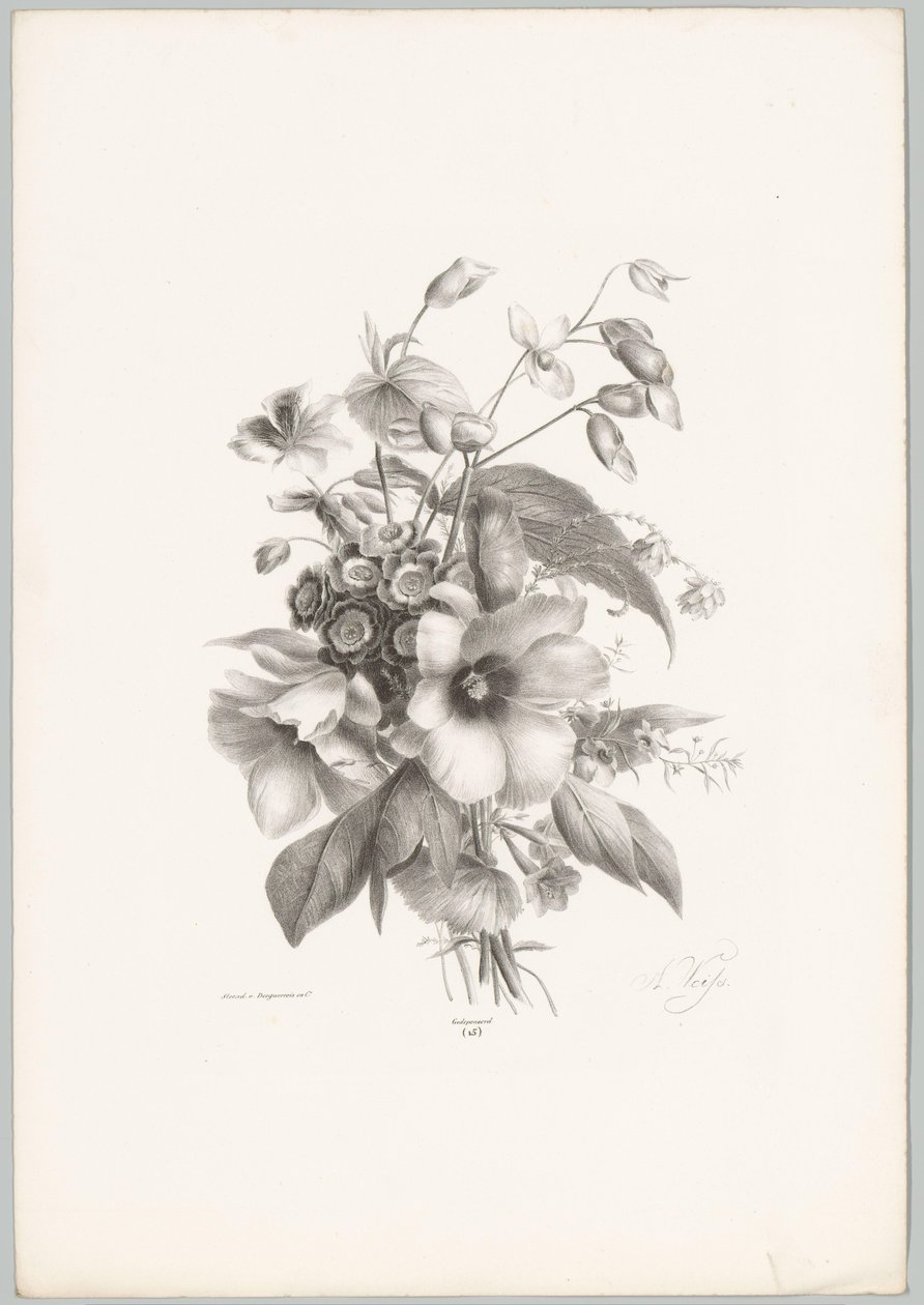Fiori diversi da Anton Weiss