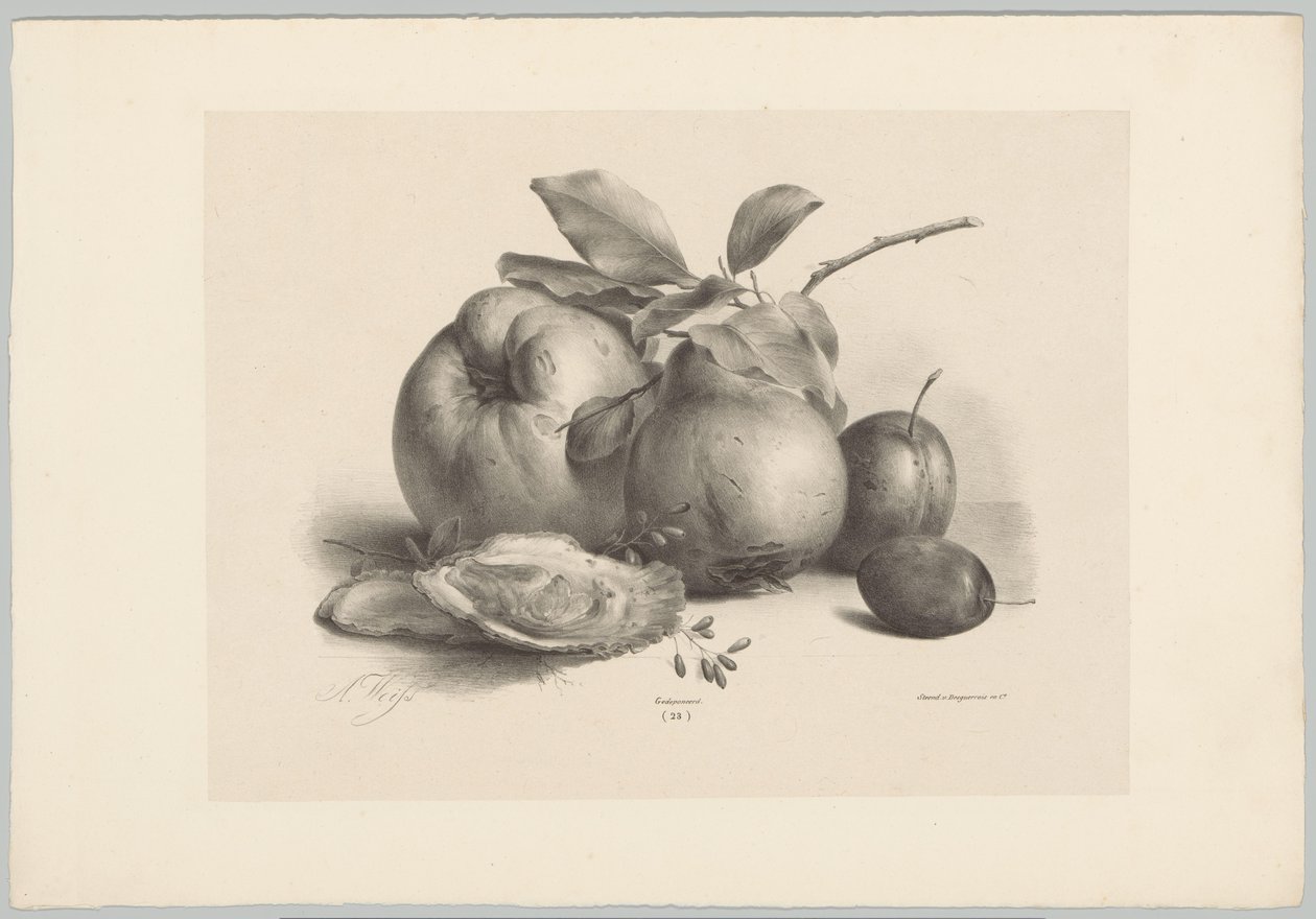Frutta, prugne e ostriche da Anton Weiss