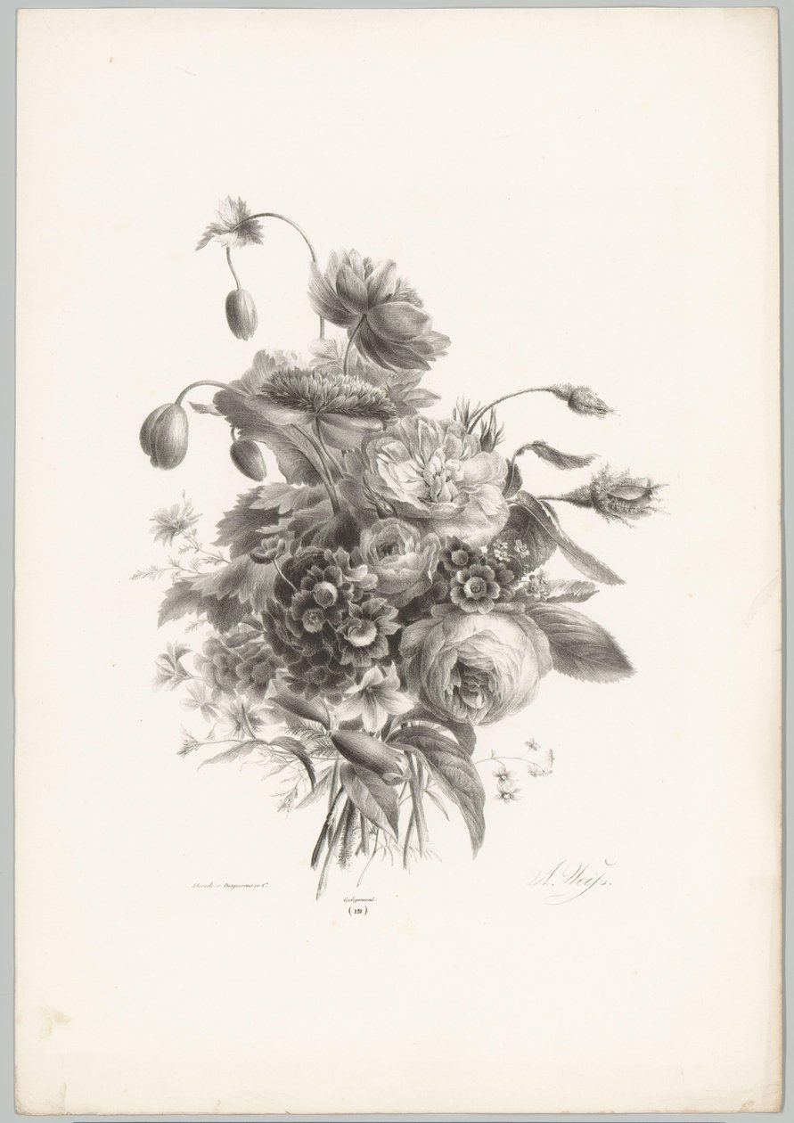 Rose e altri fiori (serie Bloem en Fruit Studien, 10e aflevering) da Anton Weiss