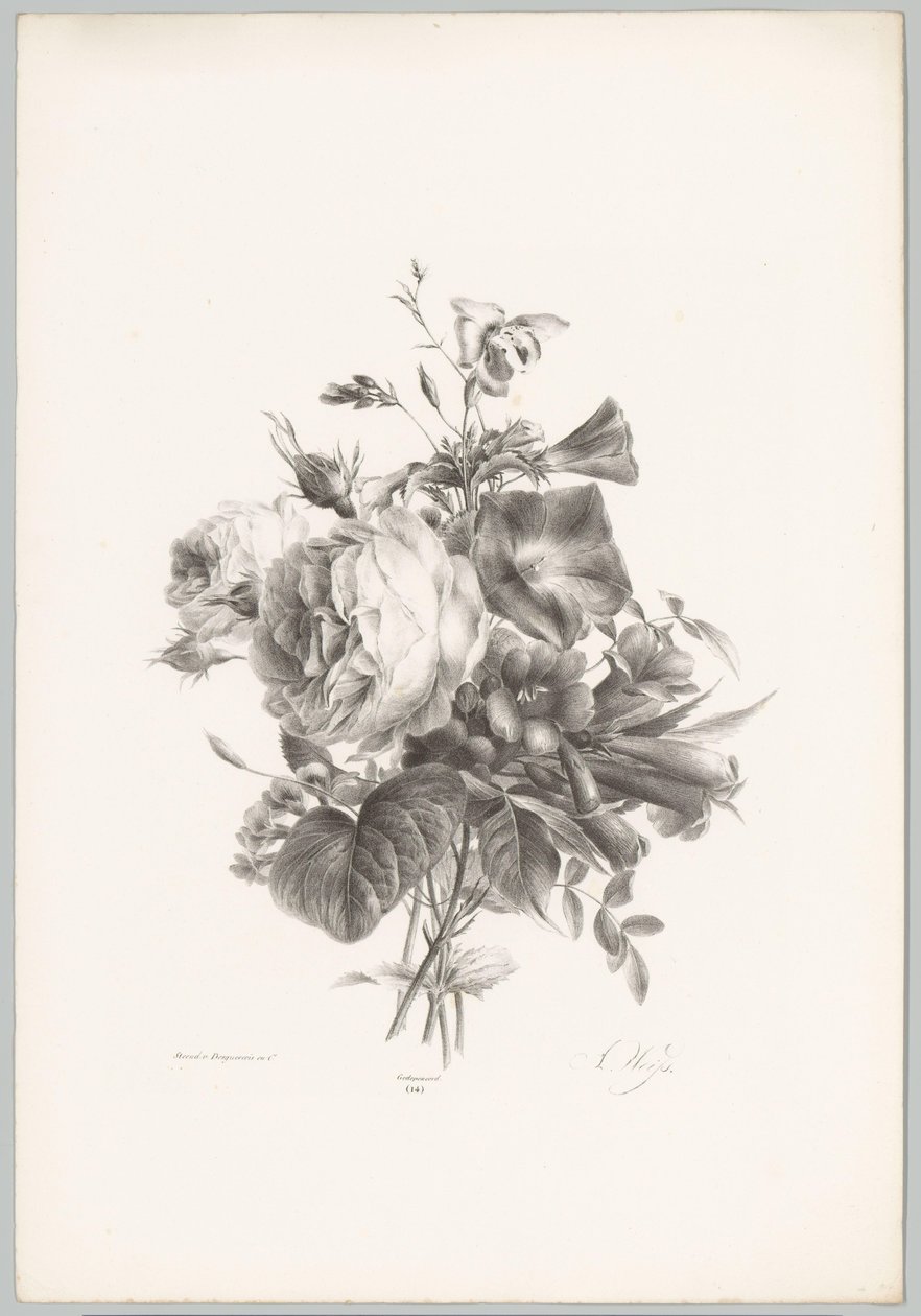 Rose e fiori a calice da Anton Weiss
