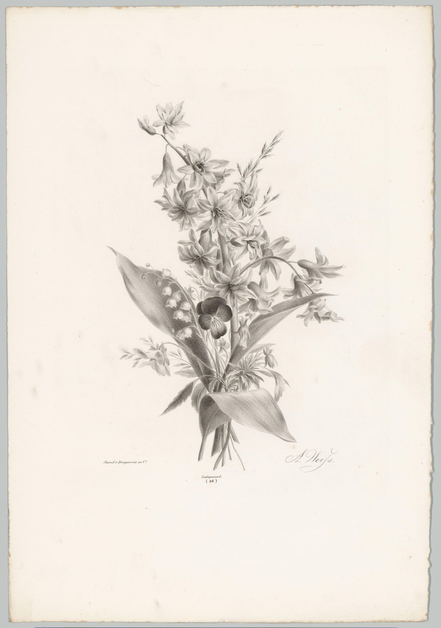 Violetta e fiori a forma di giacinto e campana da Anton Weiss