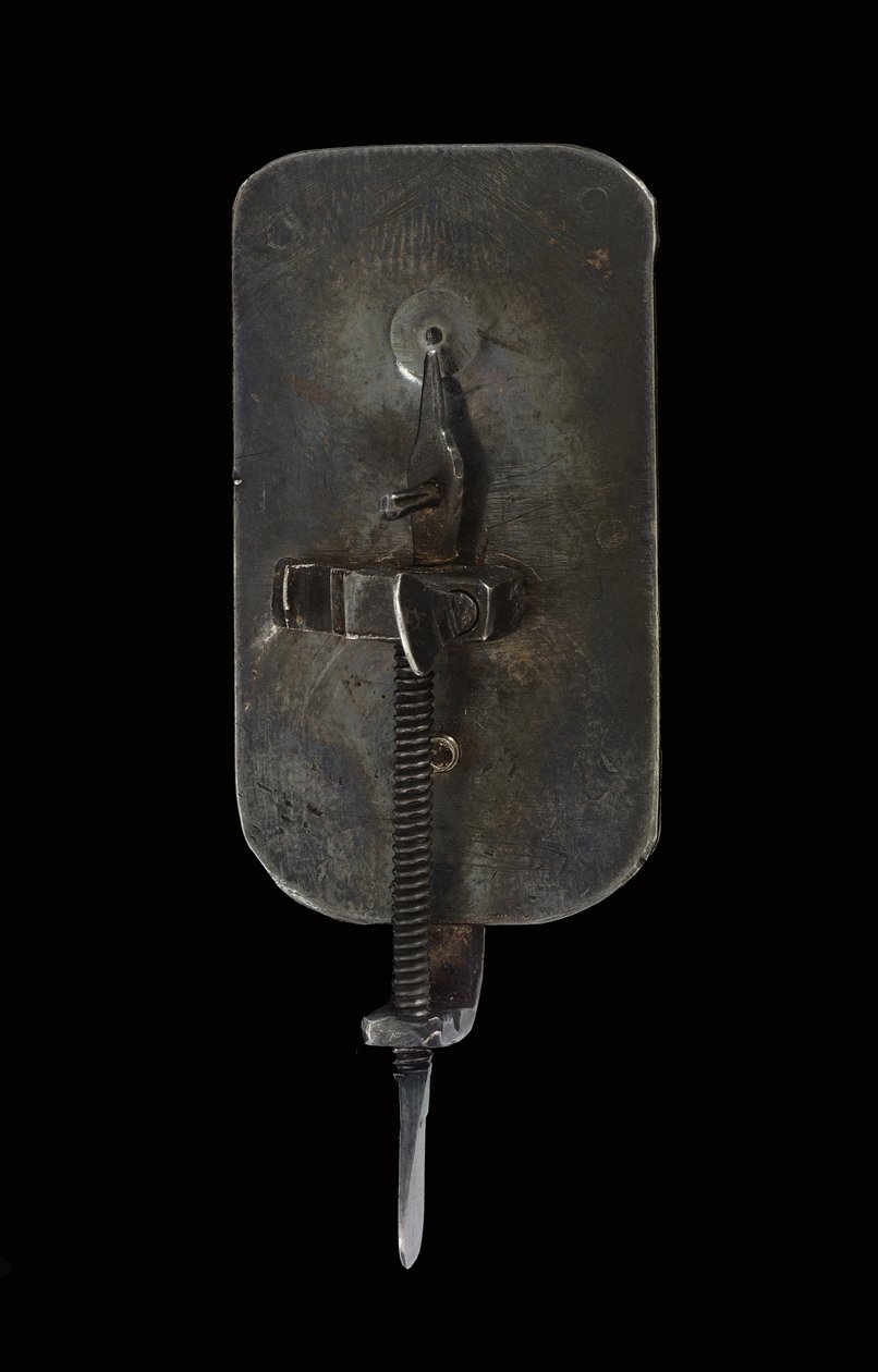 Microscopio da Antoni van Leeuwenhoek