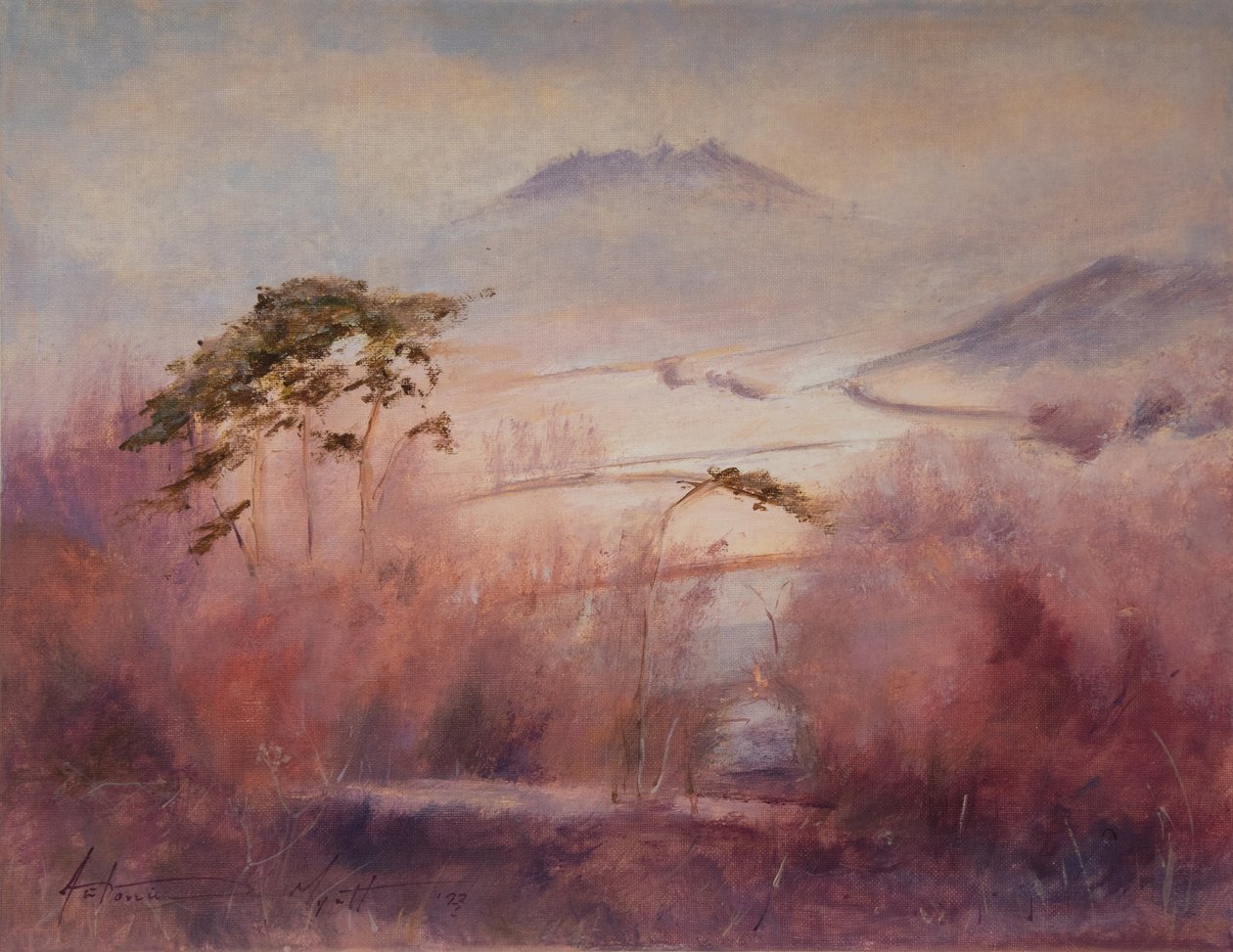 Valle ghiacciata, Somerset, 2023 da Antonia Myatt