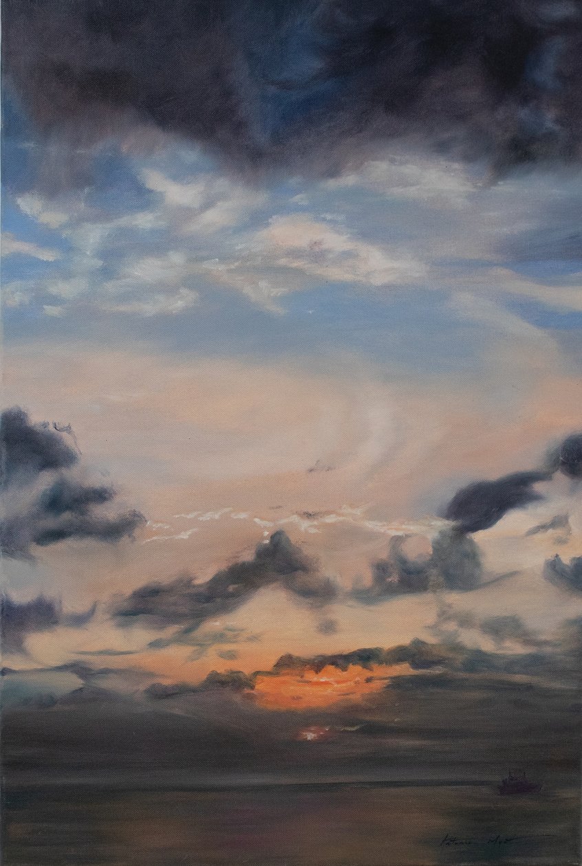 Nuvole di salmone, 2011 da Antonia Myatt