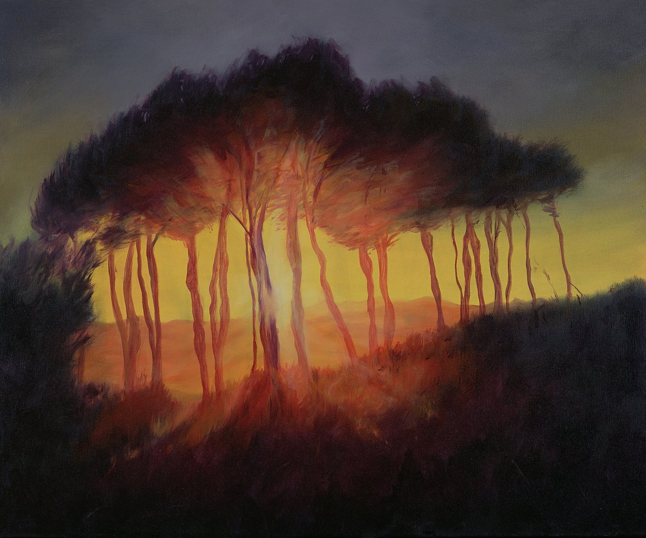Alberi selvaggi al tramonto, 2002 da Antonia Myatt