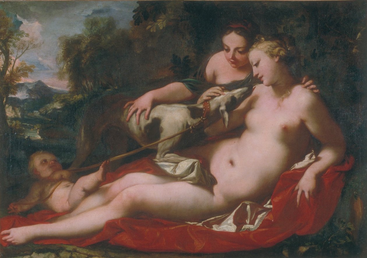 Immagine sconosciuta da Antonio Bellucci