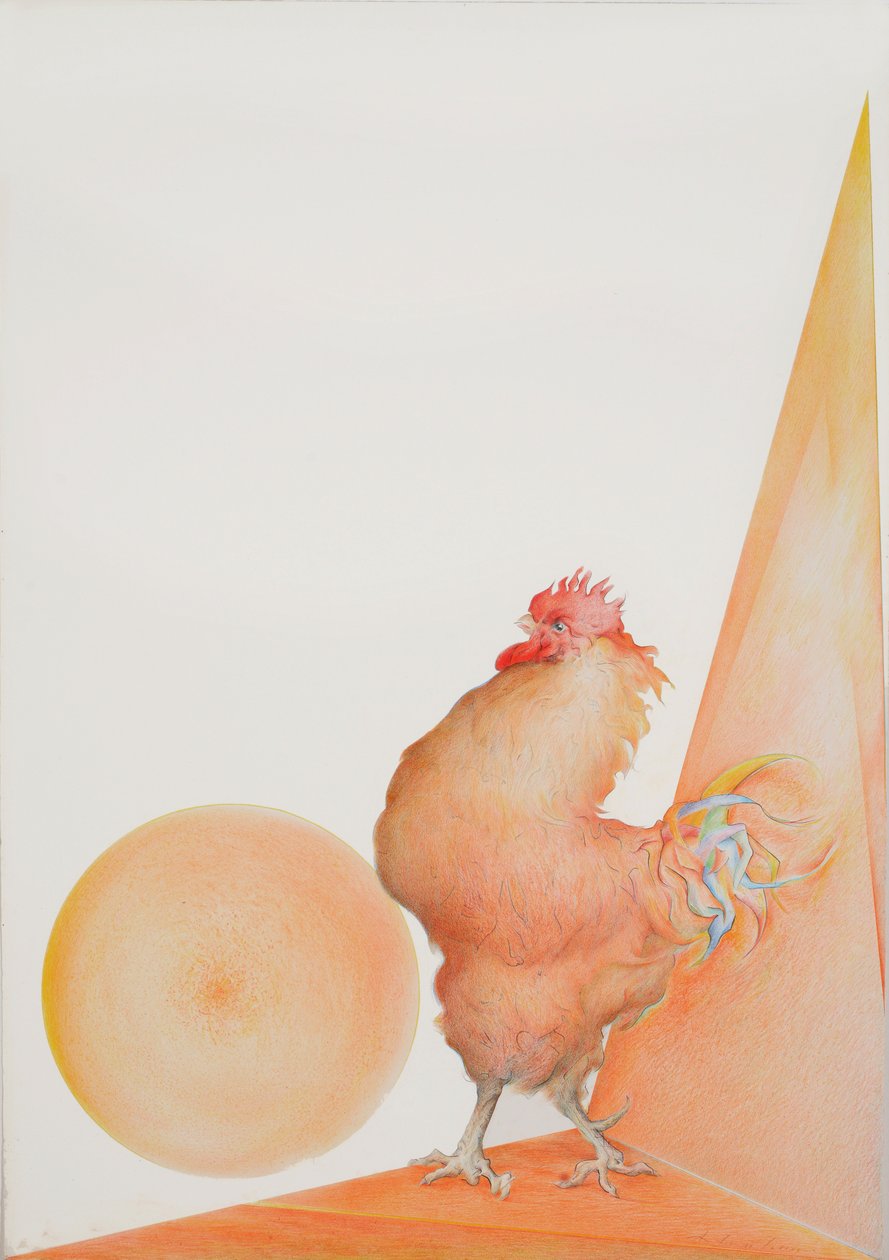 Gallo da Antonio Ciccone