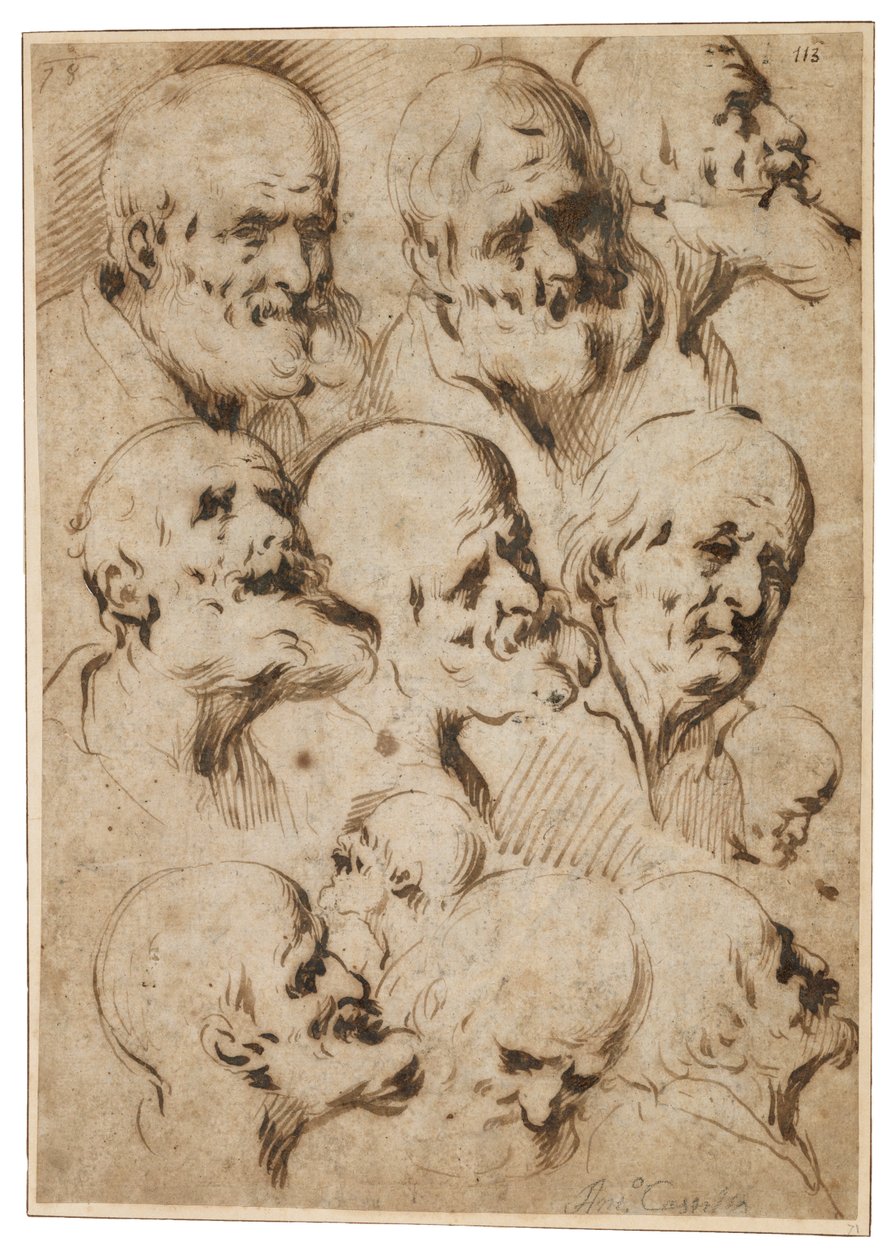 Studio di Teste di Apostoli, c.1650 da Antonio del Castillo y Saavedra