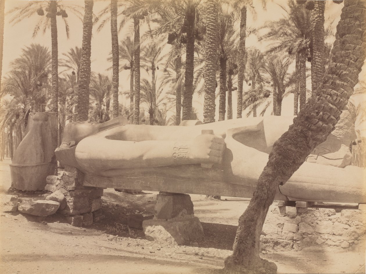 Statua di Ramesse a Saqqara da Antonio Beato