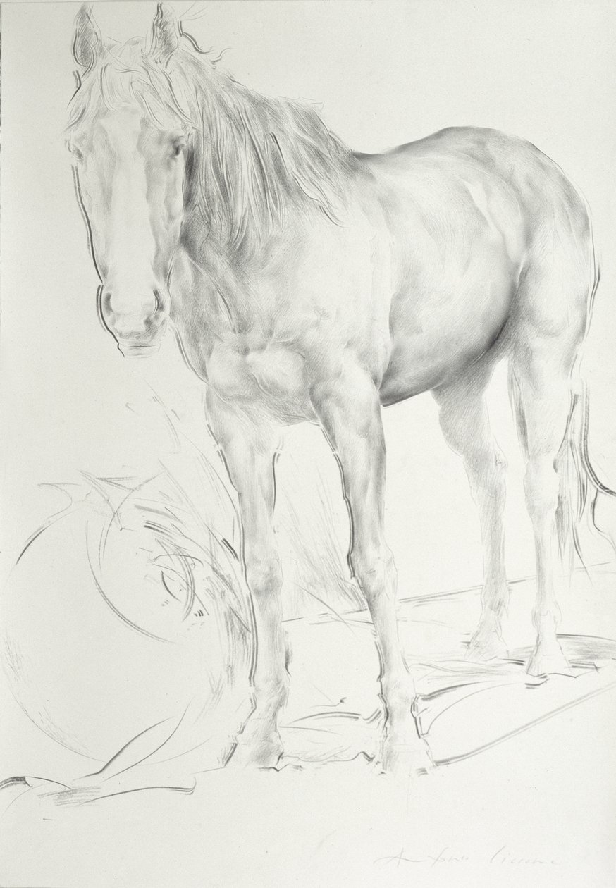 Cavallo a Coolmore, 1990 da Antonio Ciccone