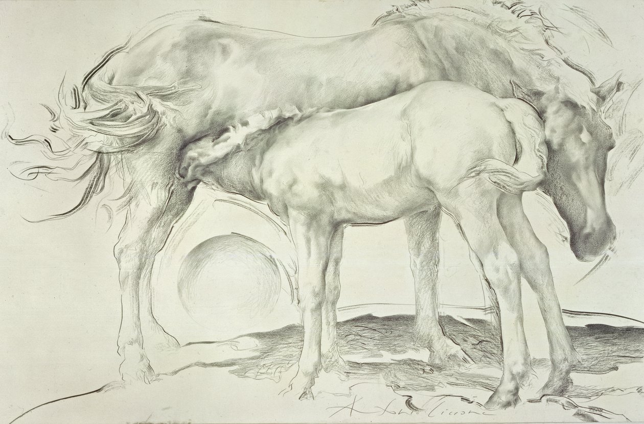 Cavalli a Coolmore, 1990 da Antonio Ciccone