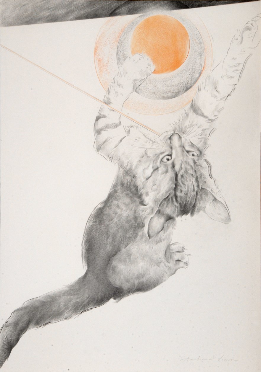 Immagine sconosciuta da Antonio Ciccone