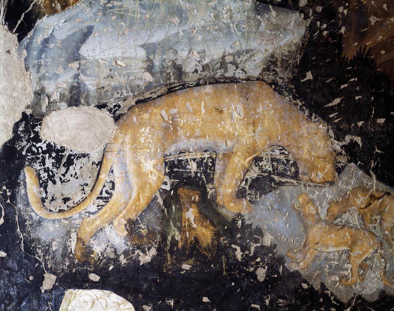 Cane (dettaglio) da Antonio Pisanello