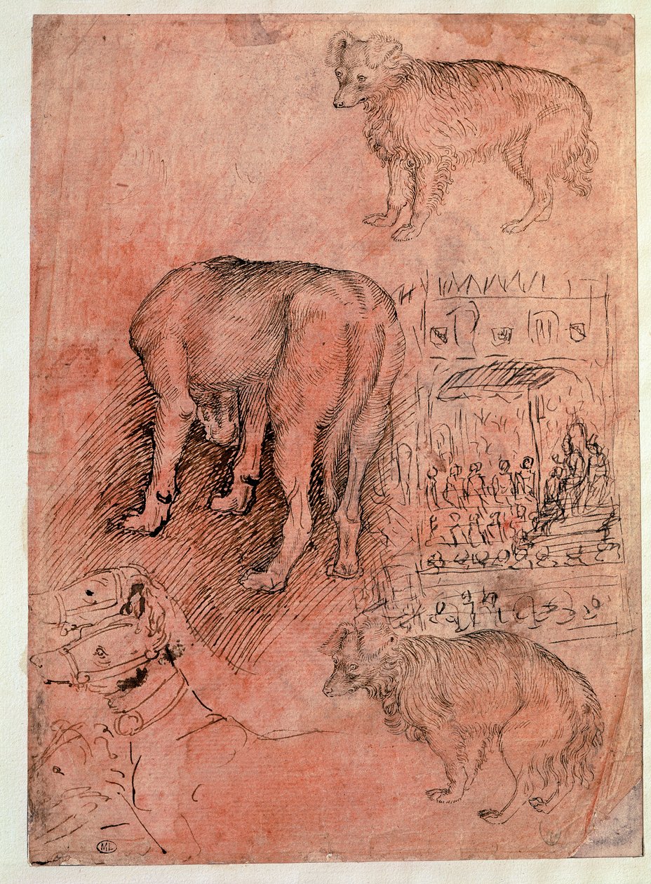 Studi di cani. Episodio aulico. Disegno di Antonio Pisano detto il Pisanello da Antonio Pisanello