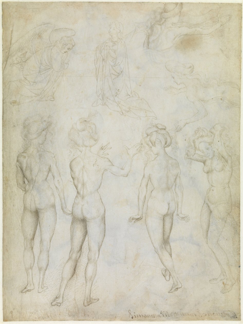 Quattro studi di nudo femminile, un