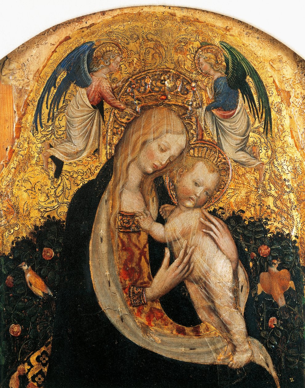 Madonna della quaglia (dettaglio) da Antonio Pisanello