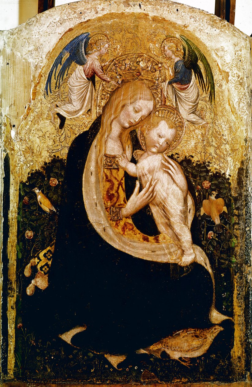 La Madonna con la quaglia da Antonio Pisanello