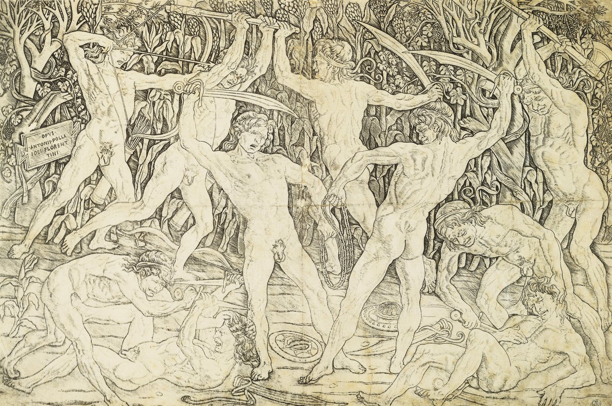 Nudi in combattimento, di Antonio del Pollaiuolo da Antonio Pollaiuolo