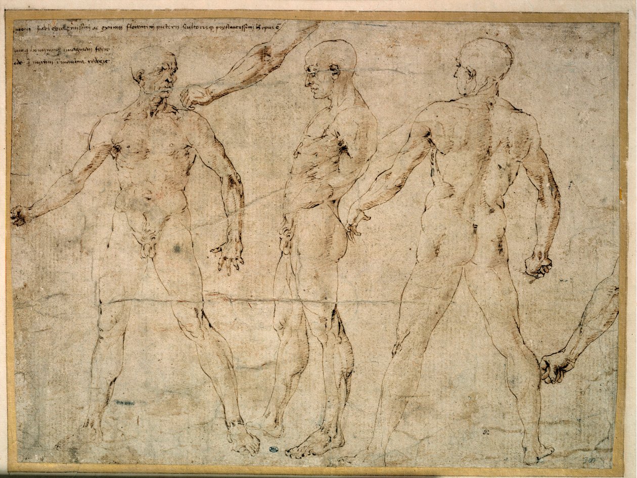 Tre uomini nudi. Disegno di Antonio Pollaiuolo da Antonio Pollaiuolo