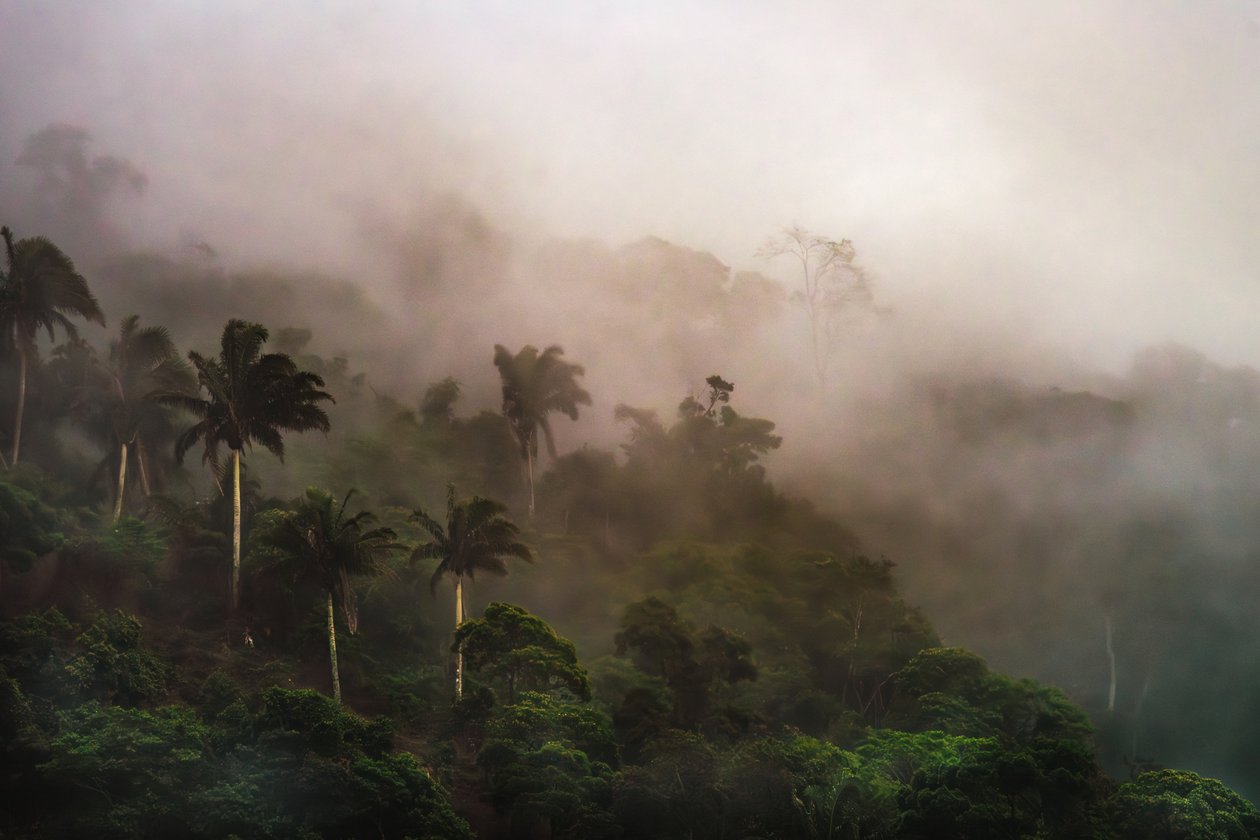 Corcovado XIX, 2020 da Antonio Schubert