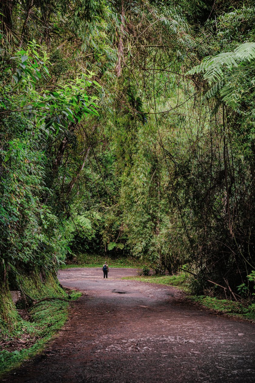 Mantiqueira XLIII, 2015 da Antonio Schubert