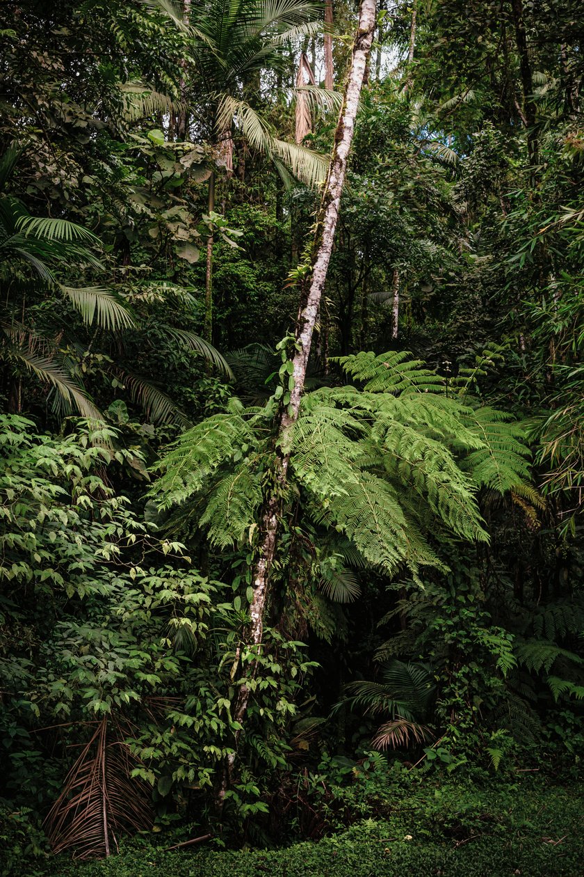 Mantiqueira XXXIV, 2015 da Antonio Schubert