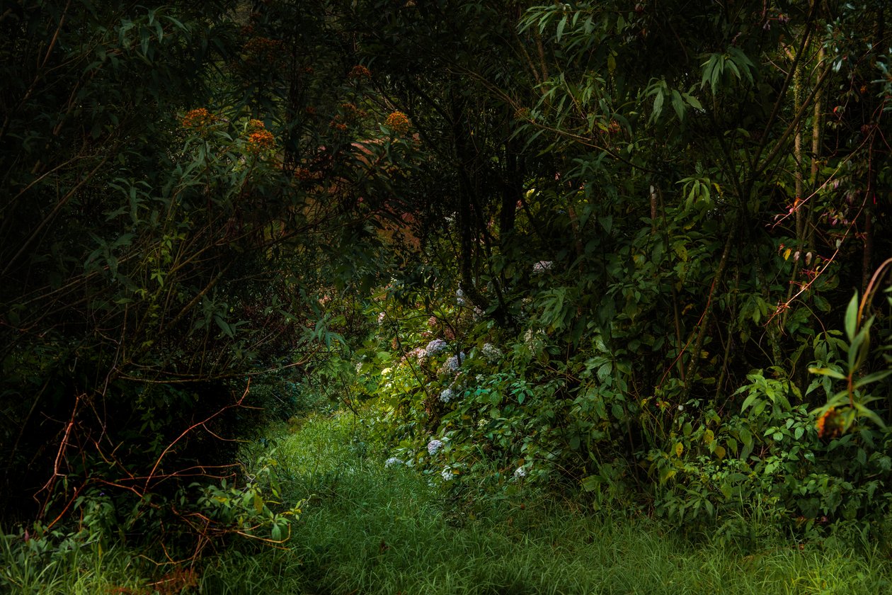 Sentieri, 2015 da Antonio Schubert