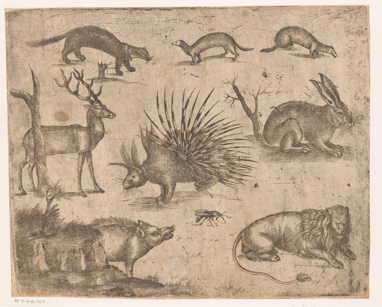 Foglio di studio con vari animali da Antonio Tempesta (attributed to)