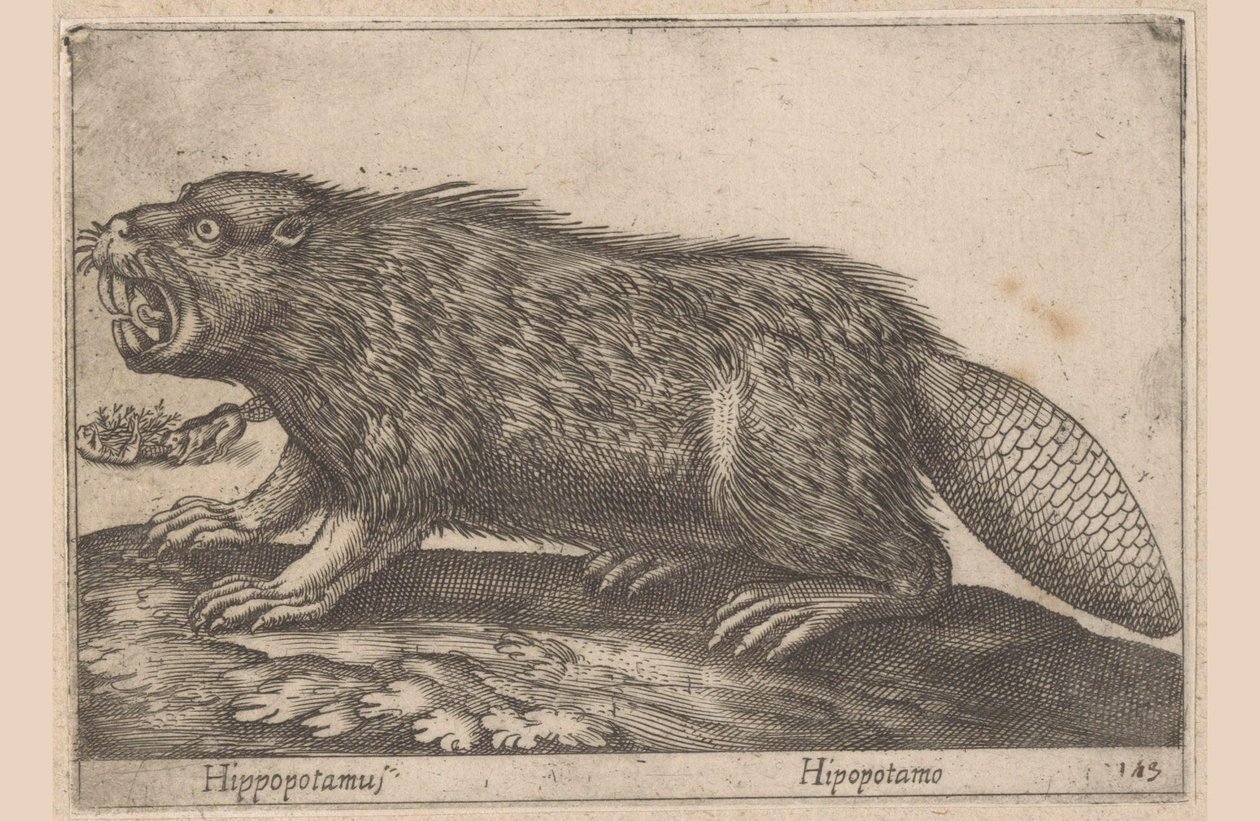 Castoro da Antonio Tempesta