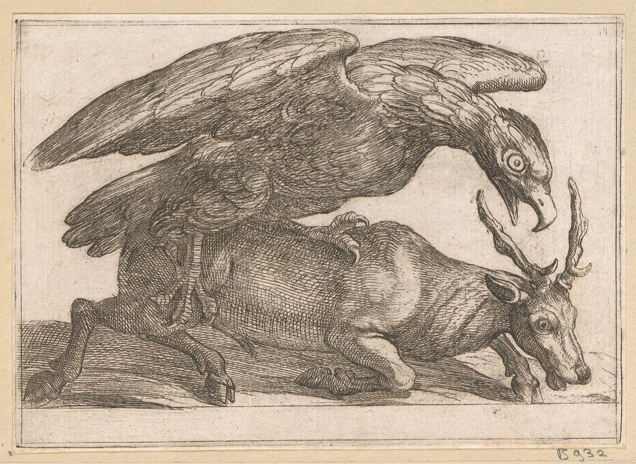 Un grande uccello attacca un cervo (serie: Animali combattenti) da Antonio Tempesta
