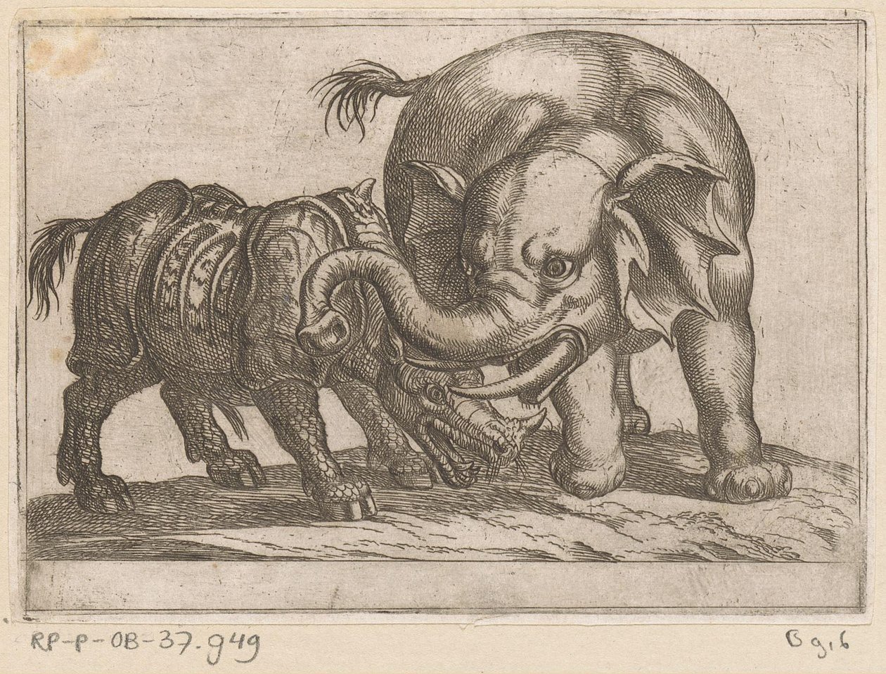 Un rinoceronte combatte con un elefante da Antonio Tempesta