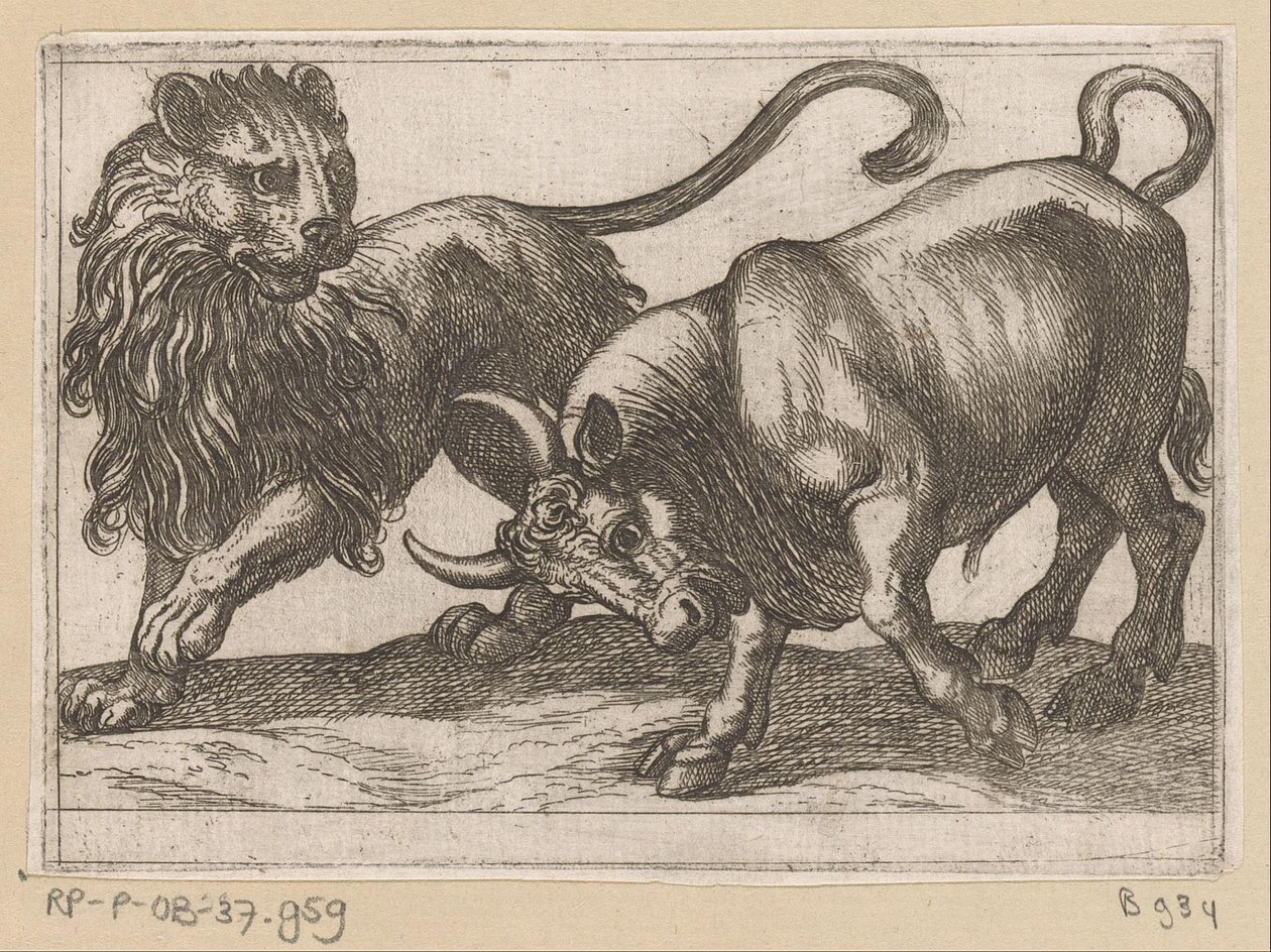 Un toro che attacca un leone da Antonio Tempesta