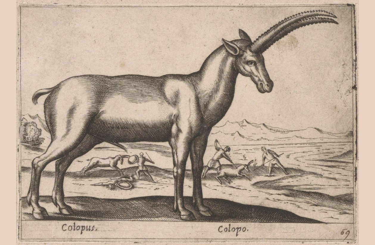 Geitachtige da Antonio Tempesta