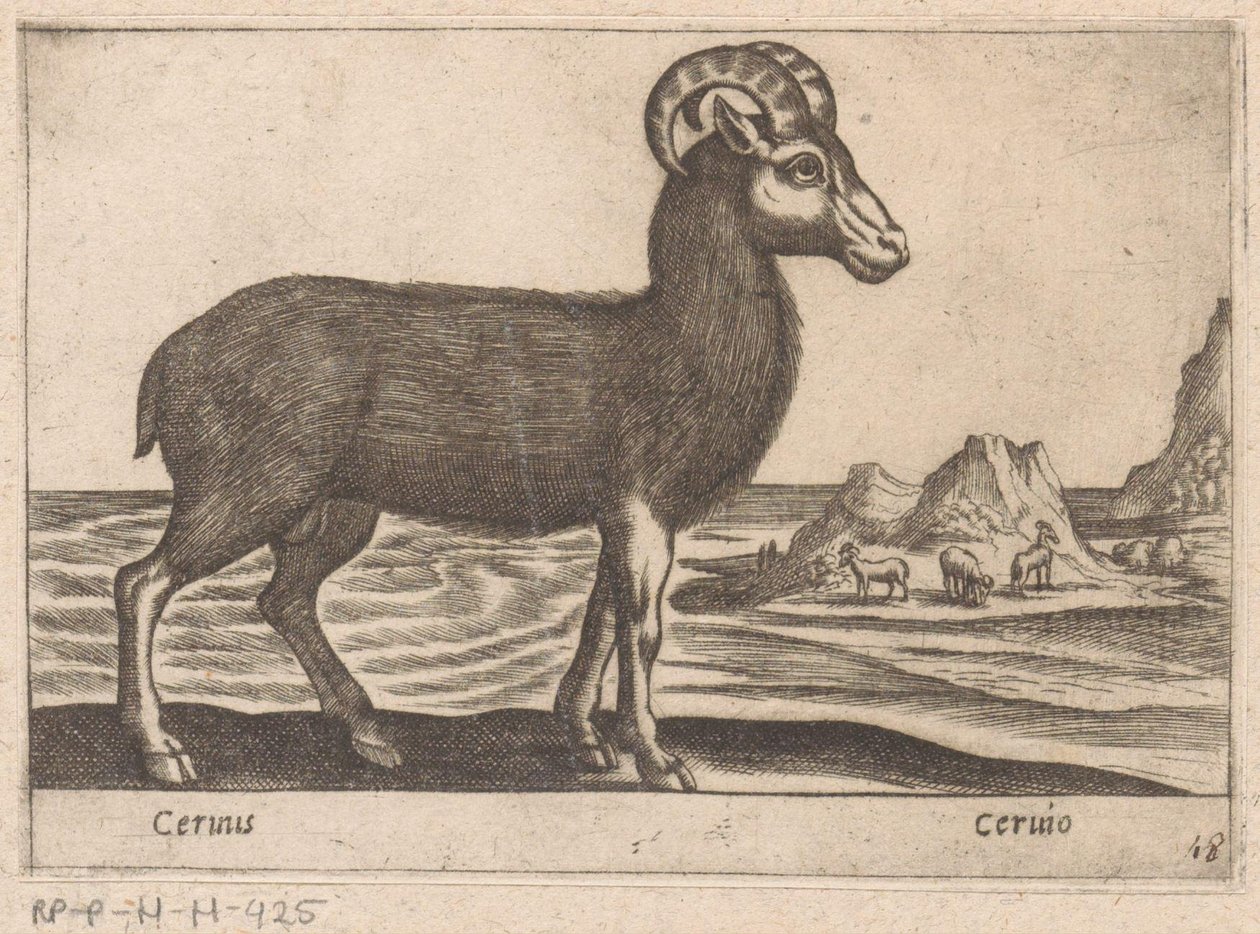 Camoscio da Antonio Tempesta