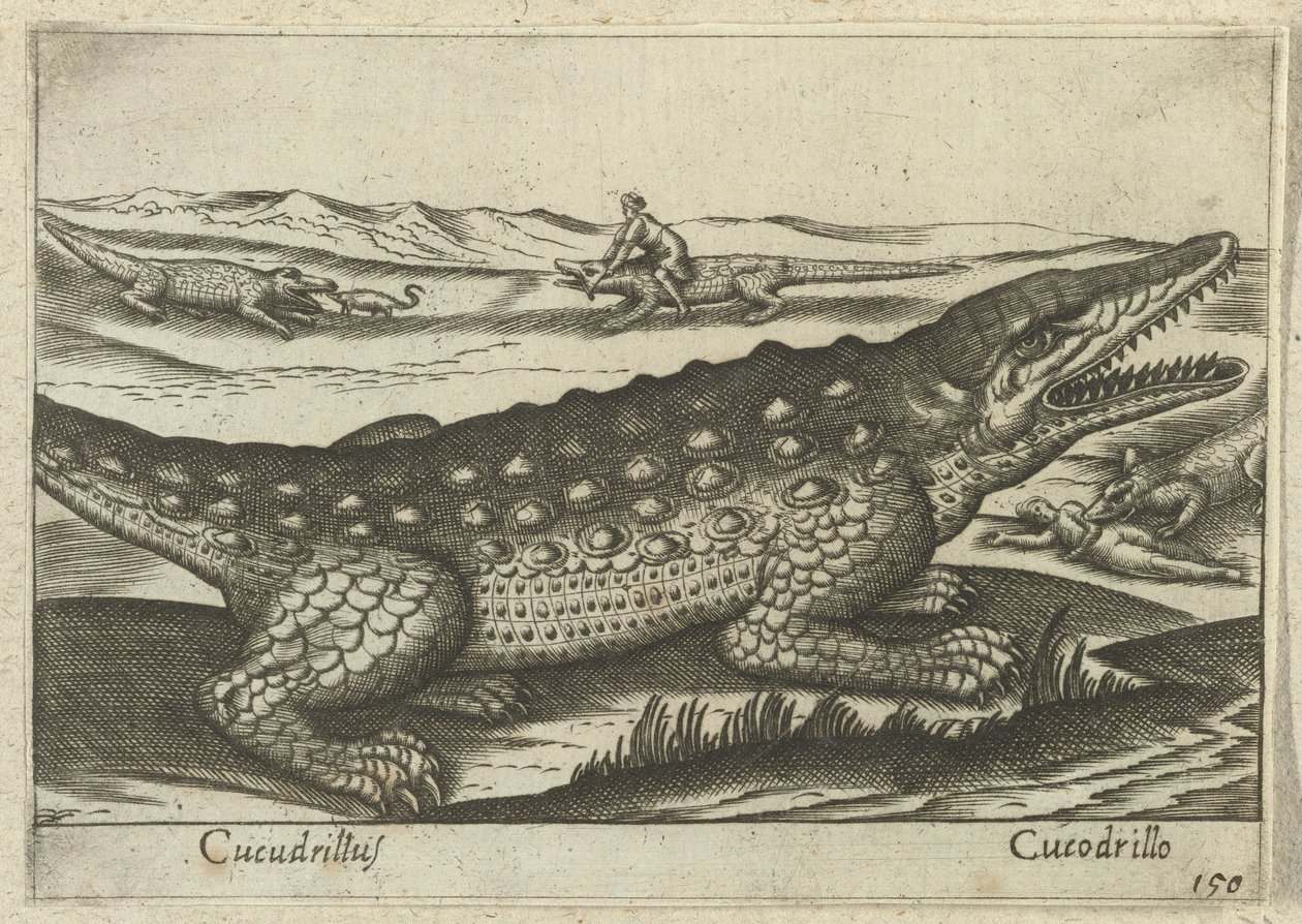 Coccodrillo (Animali e creature mitiche) da Antonio Tempesta