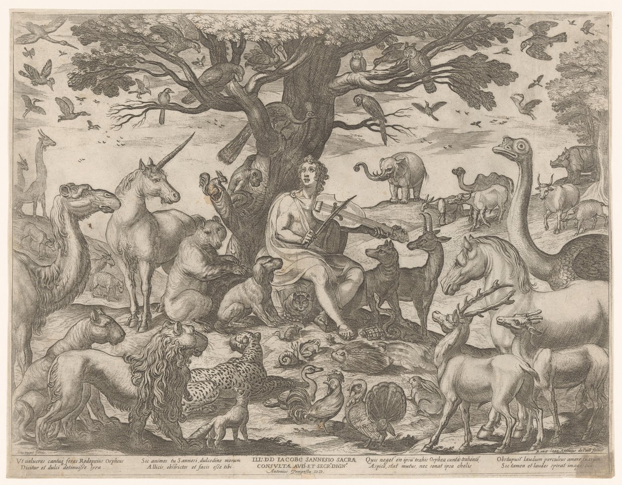 Orfeo incanta gli animali con la sua musica da Antonio Tempesta