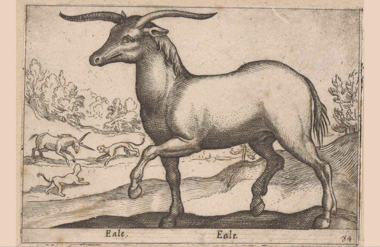 Cavallo con corna da Antonio Tempesta