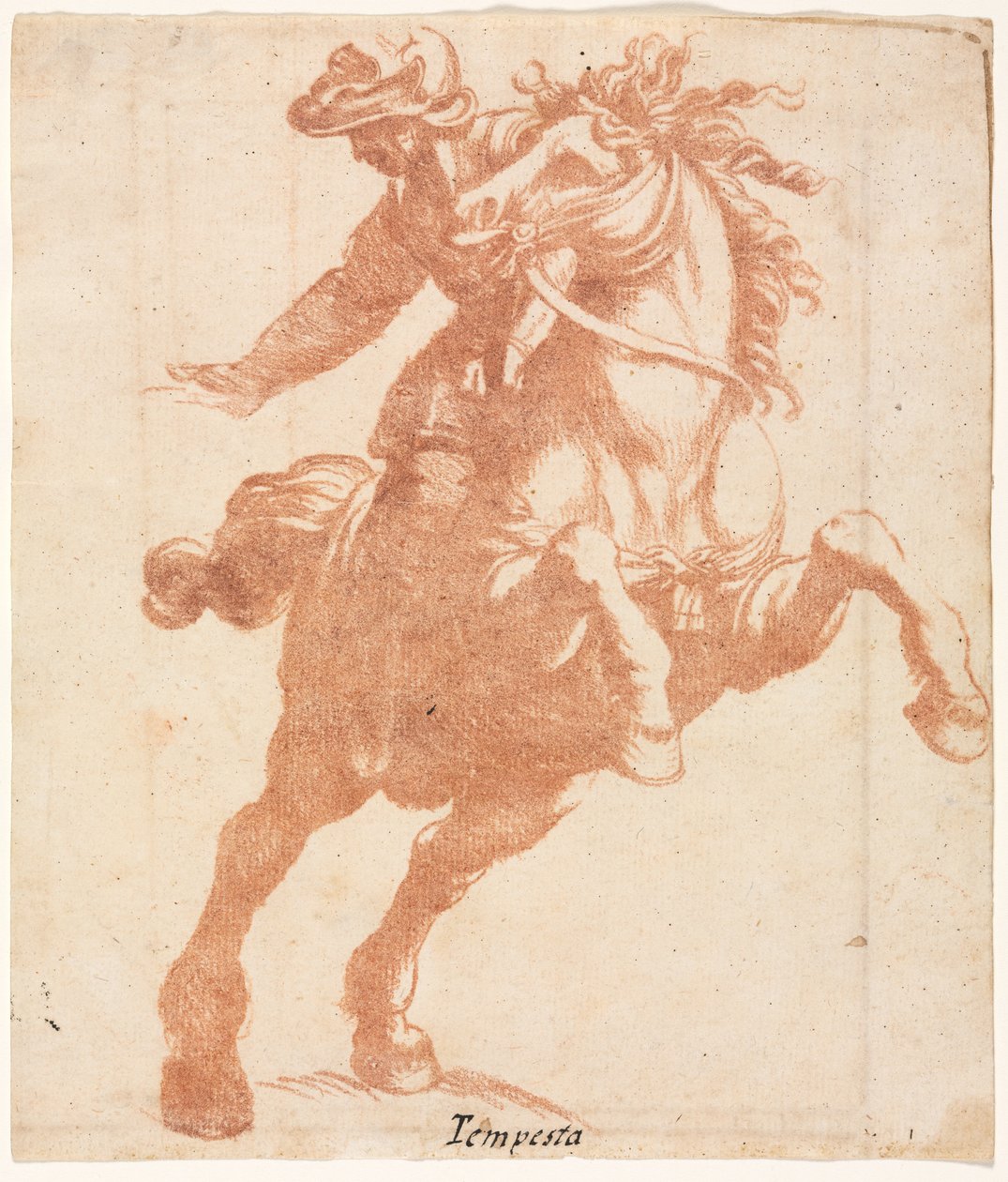 Steigendes Pferd und Reiter da Antonio Tempesta