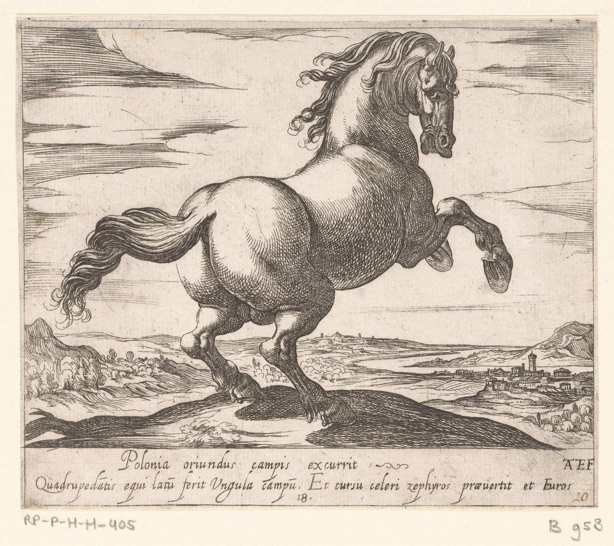 Cavallo impennato rivolto a destra (cavalli di diversi paesi) da Antonio Tempesta