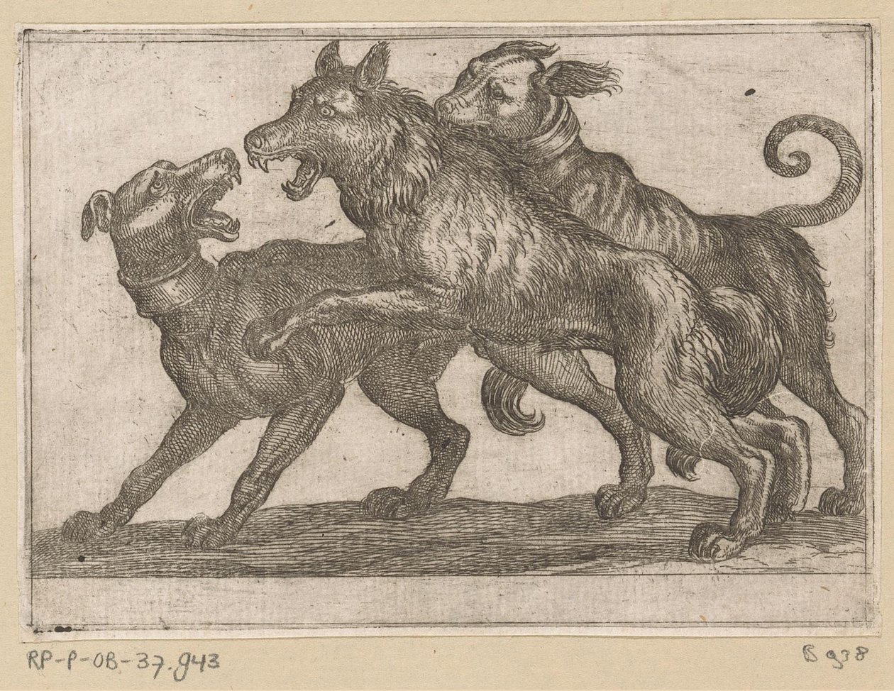 Due cani in lotta con un lupo da Antonio Tempesta