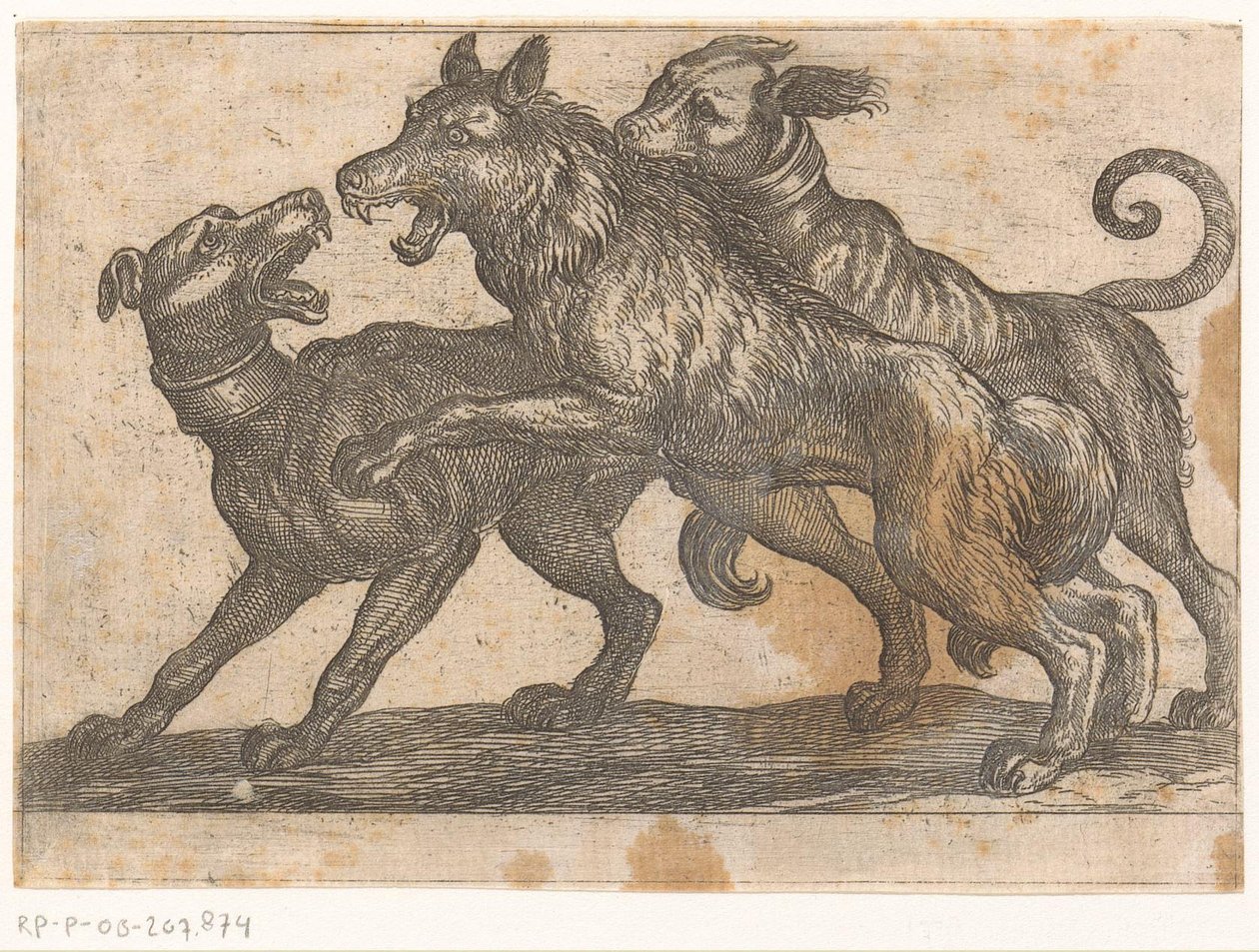 Due cani in lotta con un lupo (serie: Vechtende dieren) da Antonio Tempesta